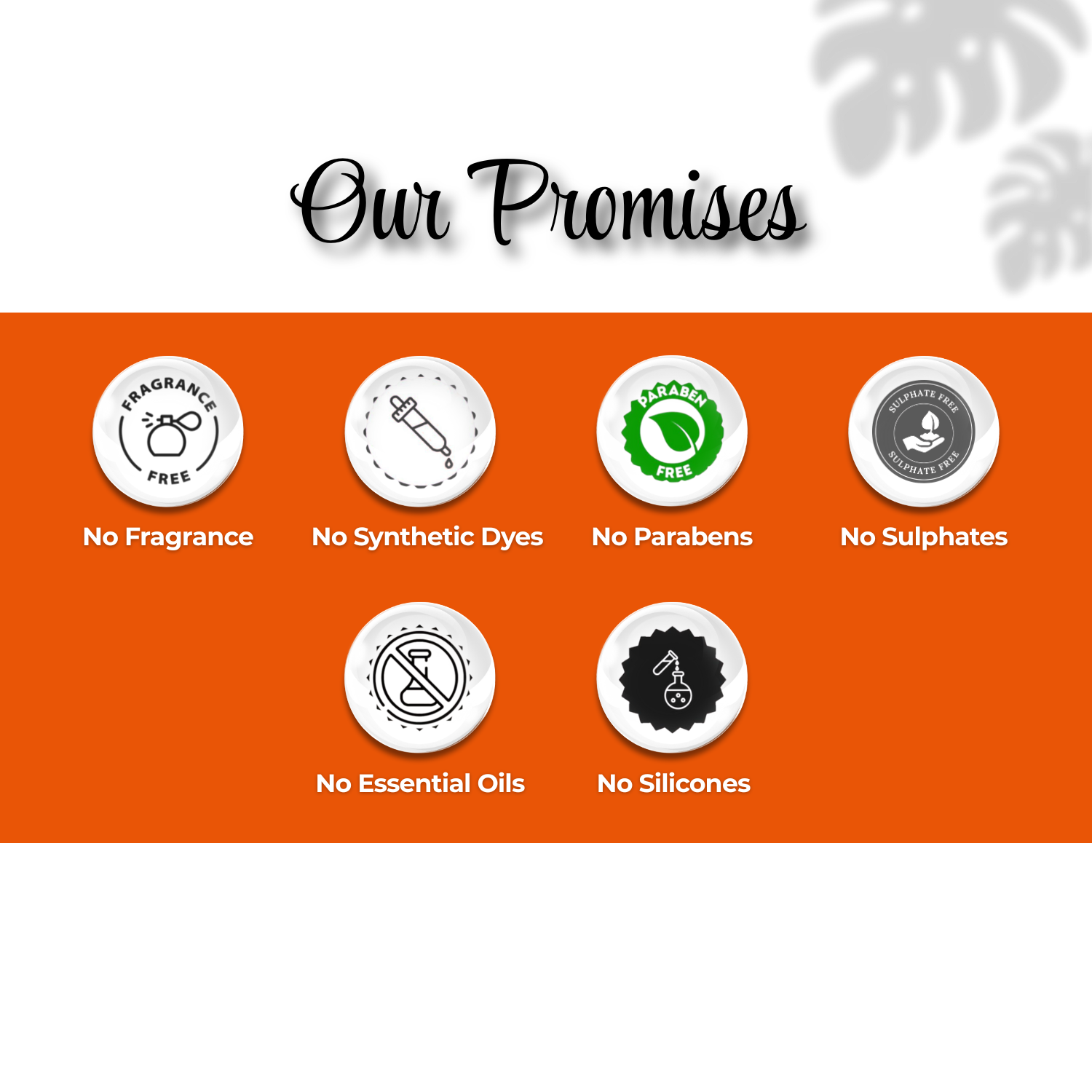 3% Vitamin C Daily Brightening Body Wash - Image 8