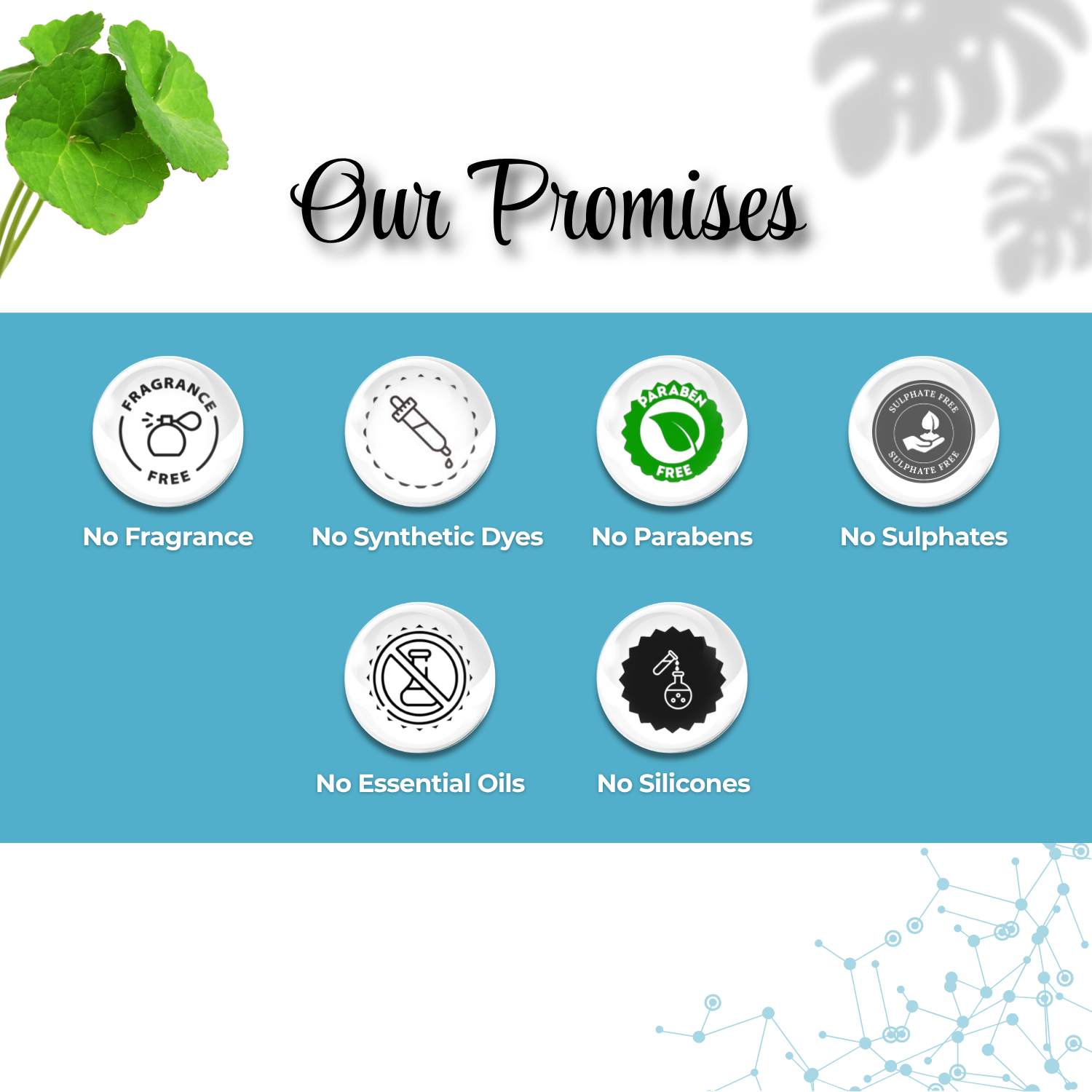 10% Niacinamide Face Serum with Centella Extract, 2% Zinc & Hyaluronic Acid - Image 8