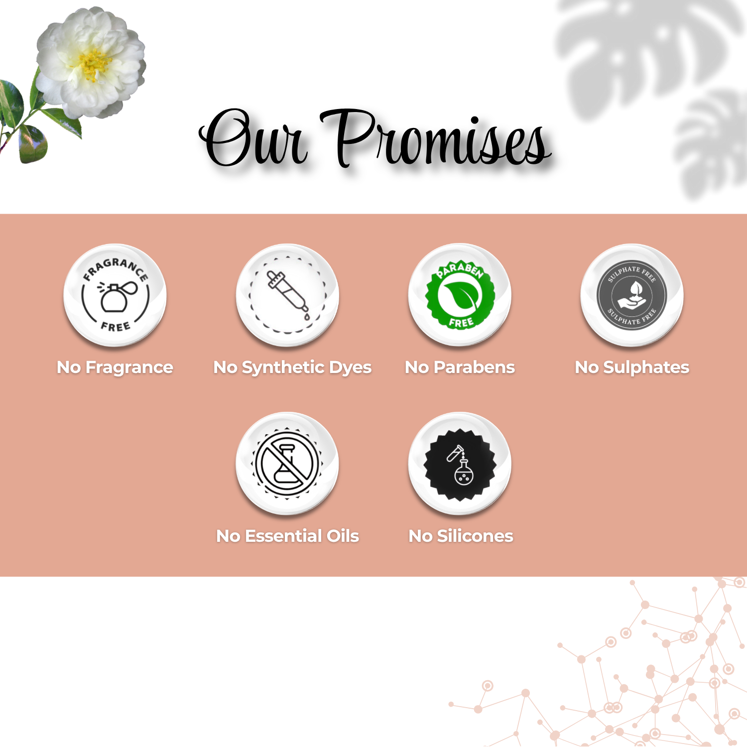 30% AHA + 2% BHA Face Serum with L-Glutathione, Salicylic Acid & Camellia Sinensis - Image 8