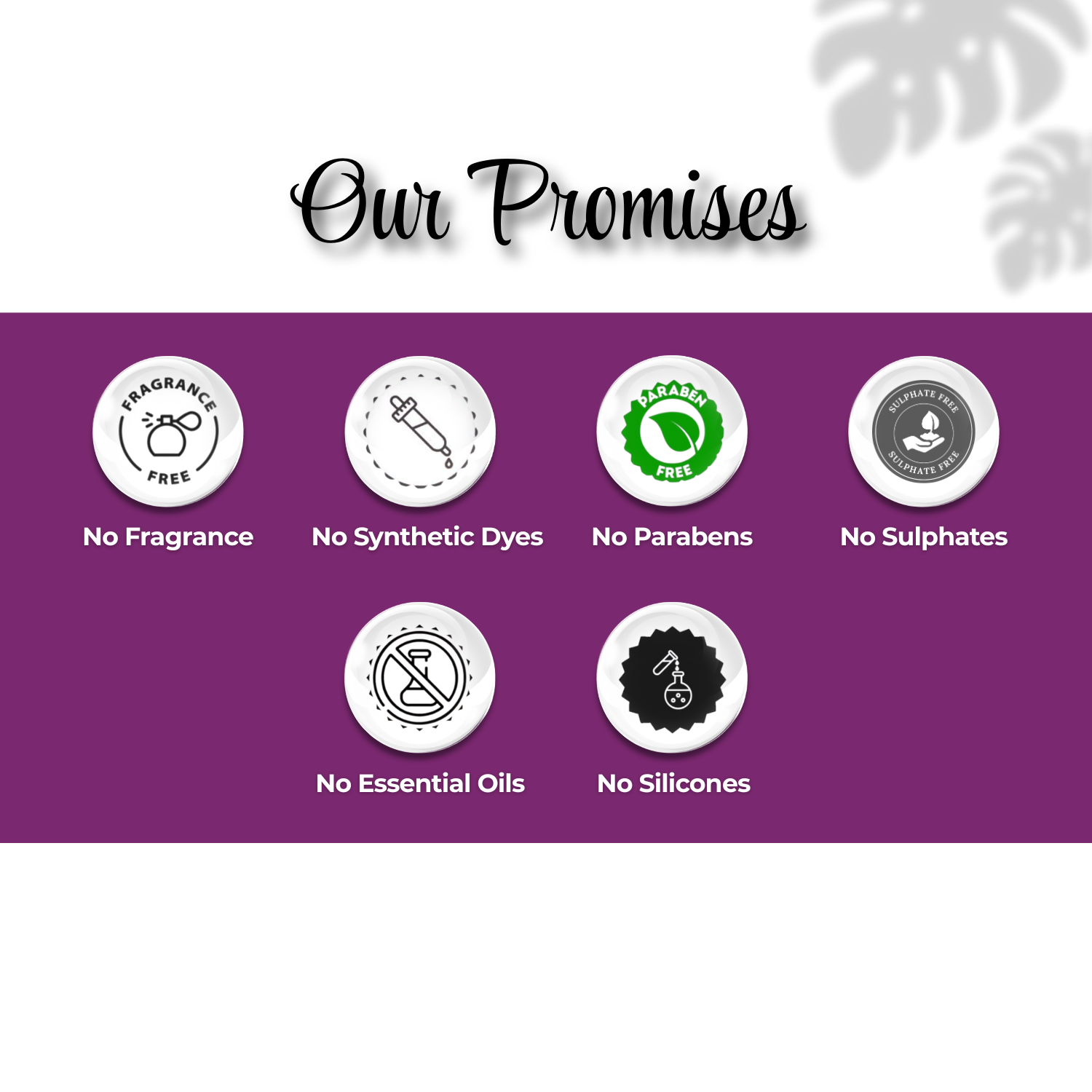 1% Salicylic Acid Body Wash for acne and dull skin. Key actives are salycylic acid, glycolic acid, tea tree oil - Image 8